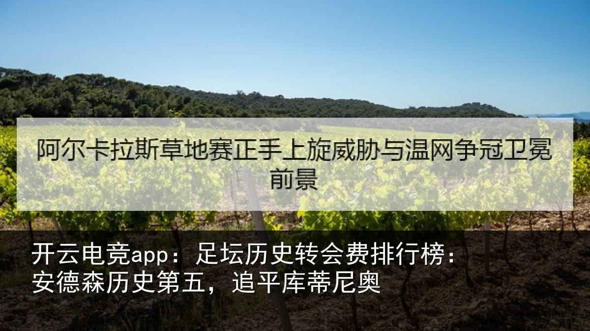 开云电竞app：足坛相关情况：安德相关情况蒂尼奥