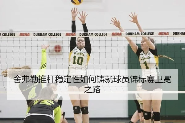舍弗勒推杆稳定性如何铸就球员锦标赛卫冕之路
