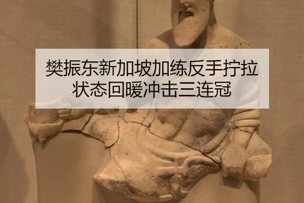 fan-zhen-dong-xin-jia-po-jia-lian-fan-shou-ning-la-zhuang-tai-hui-nuan-chong-ji-san-lian-guan-2-909.jpg