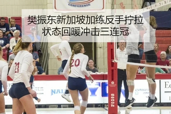 fan-zhen-dong-xin-jia-po-jia-lian-fan-shou-ning-la-zhuang-tai-hui-nuan-chong-ji-san-lian-guan-3-229.jpg
